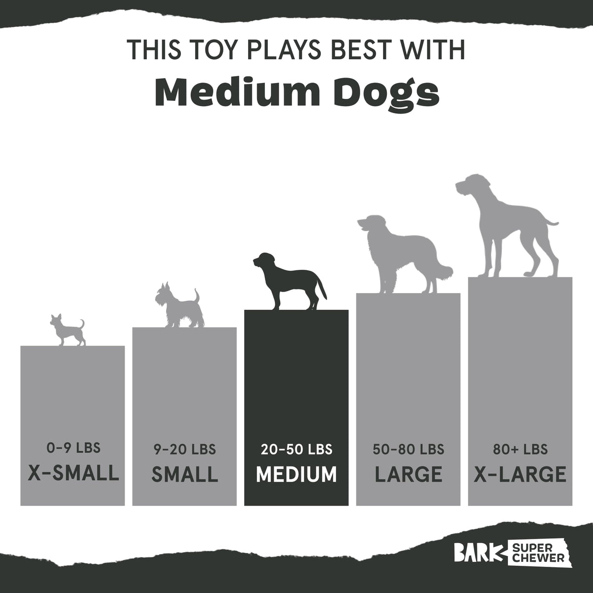 Dog Toy F144