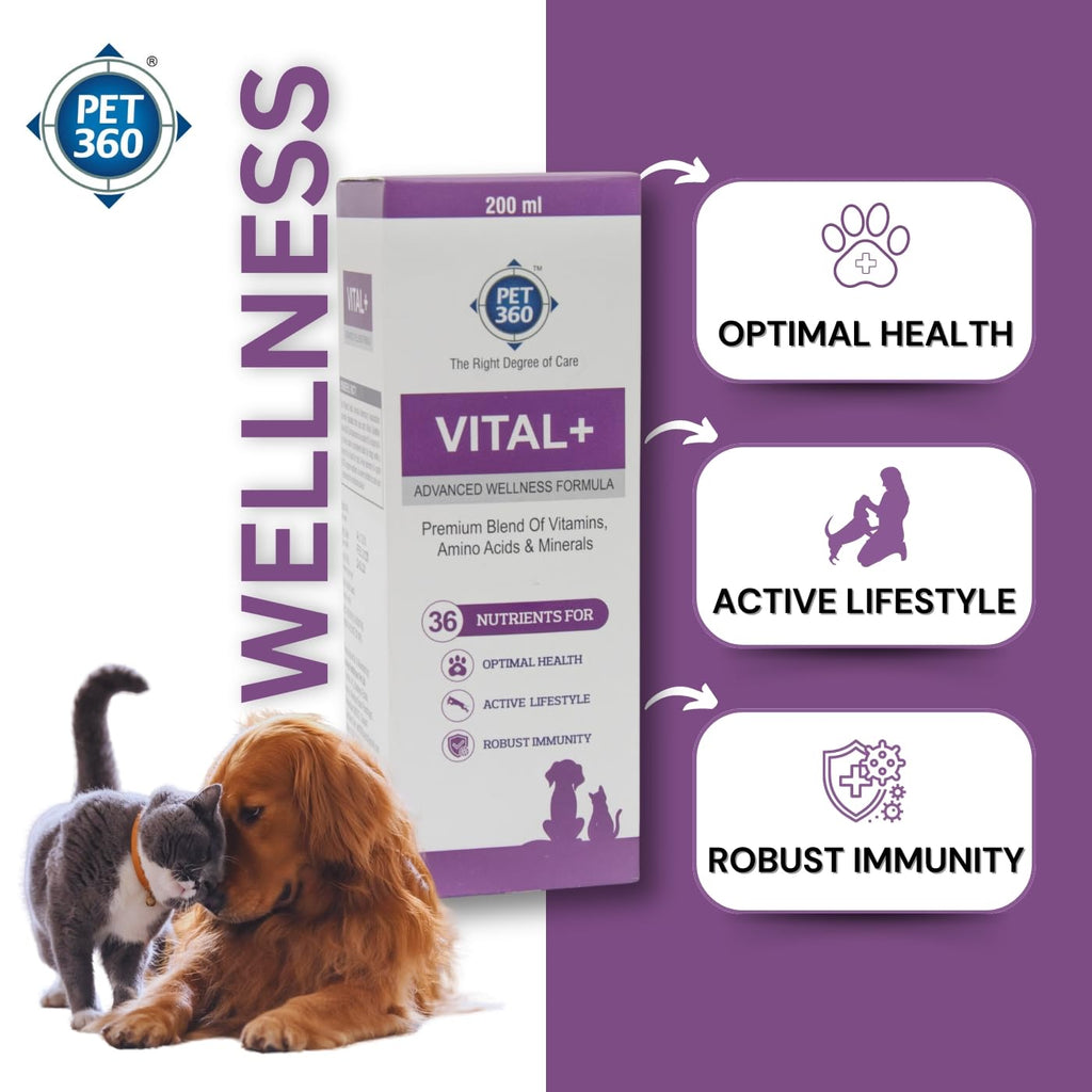 Multivitamin Syrup Nutritional Supplement for Dogs & Cats 200 ml I658