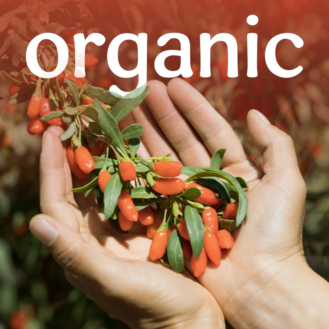 Organic Goji Berries B910482