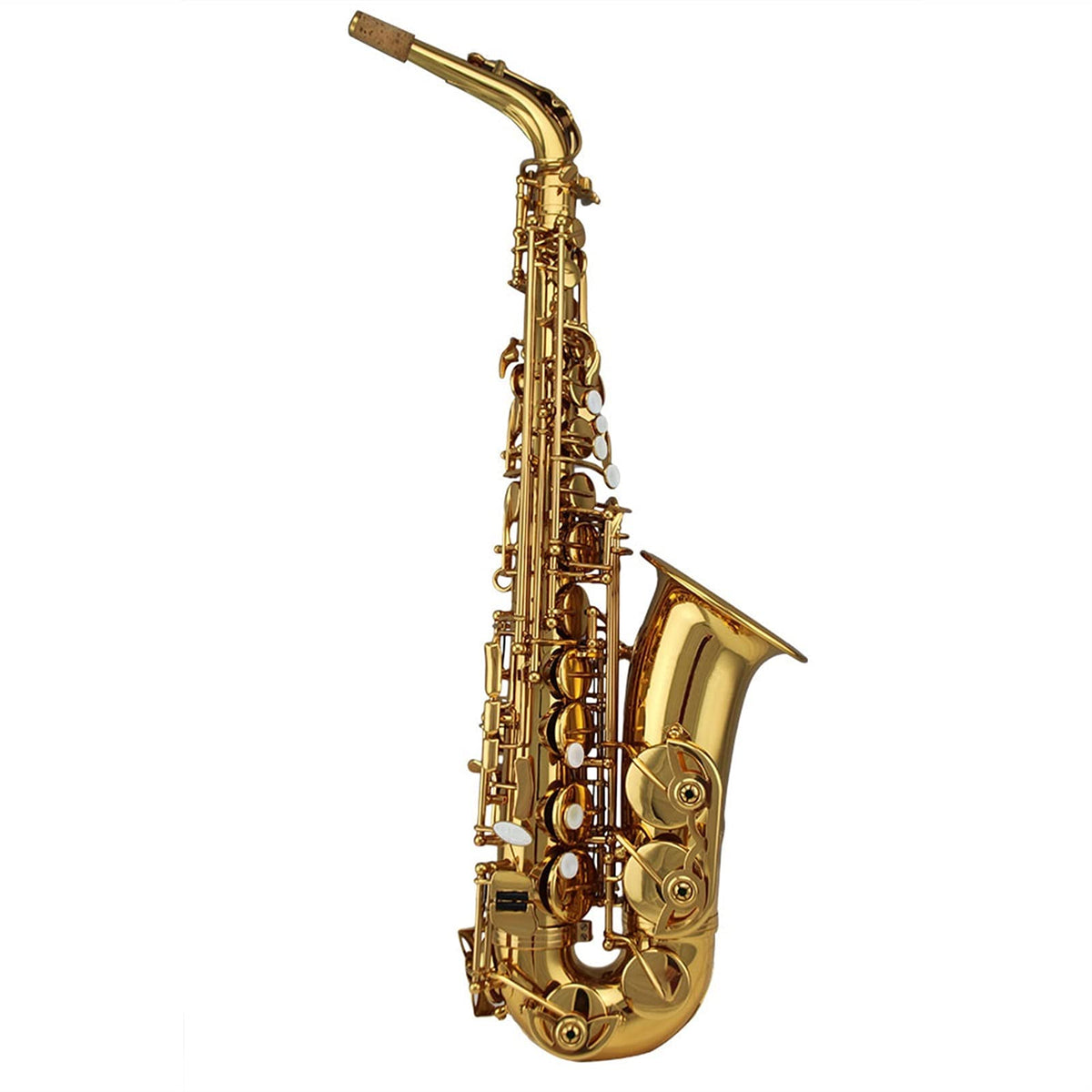 Alto Saxophone Set T8228