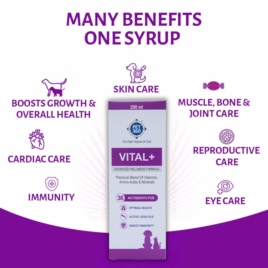 Multivitamin Syrup Nutritional Supplement for Dogs & Cats 200 ml I658