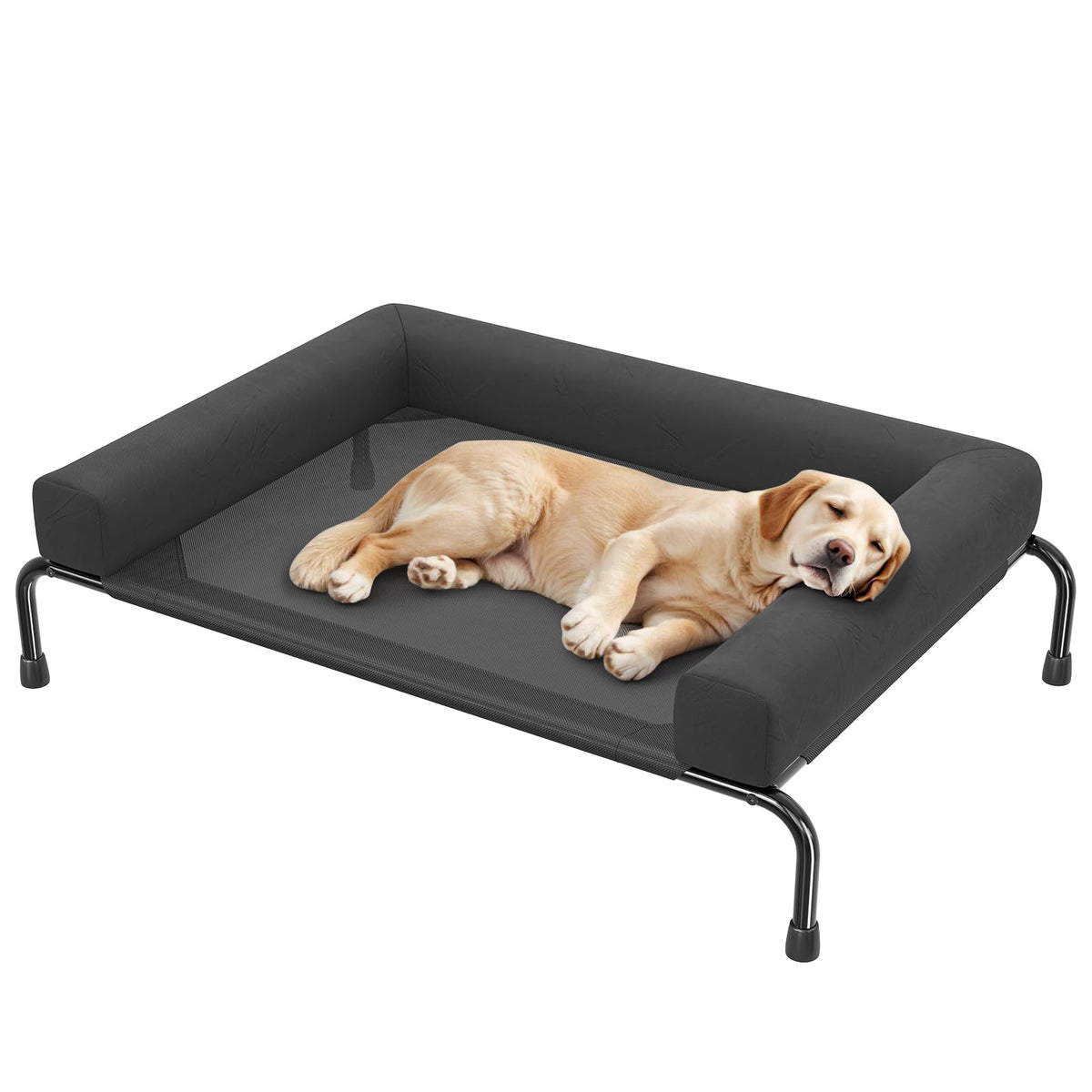 Elevated Dog Bed with Bolsters, Black G756