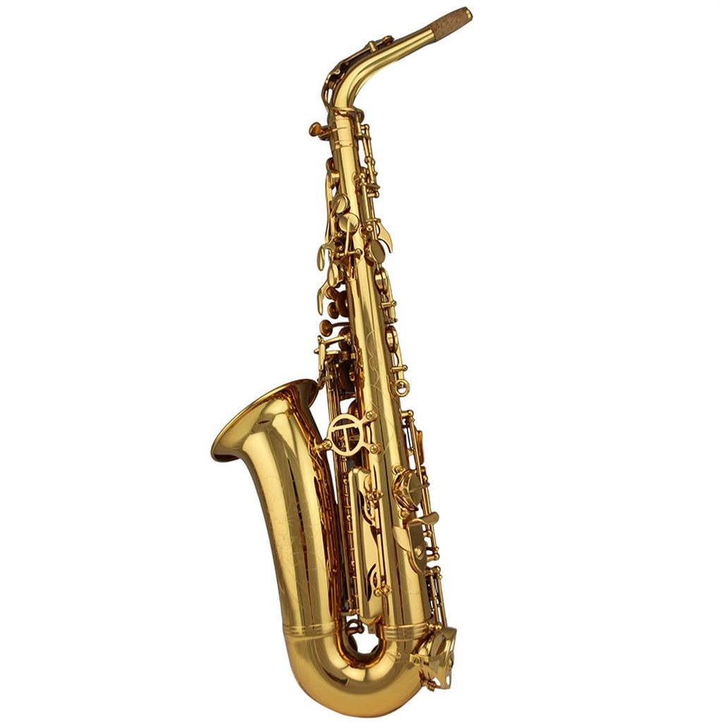 Alto Saxophone Set T8228