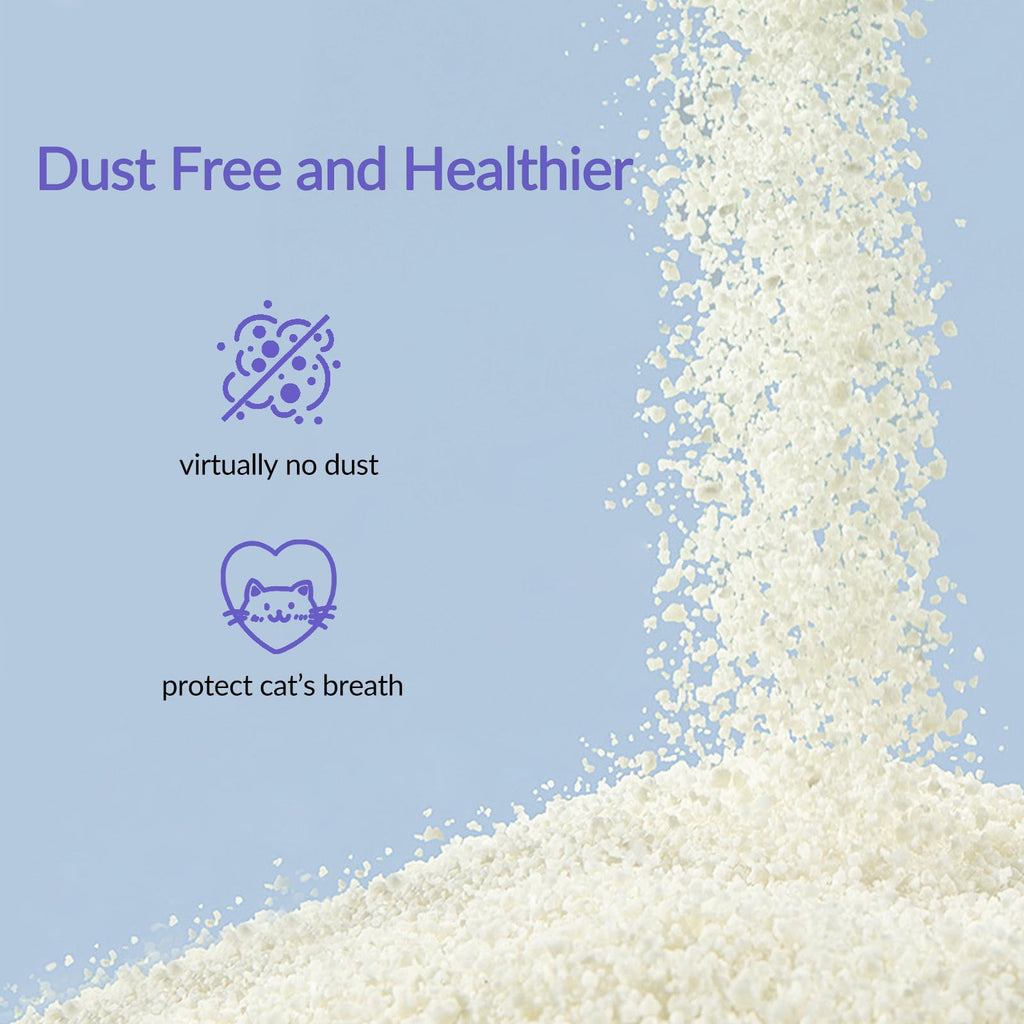 Non-Stick Ultra Clumping Unscented Cat Litter R675389