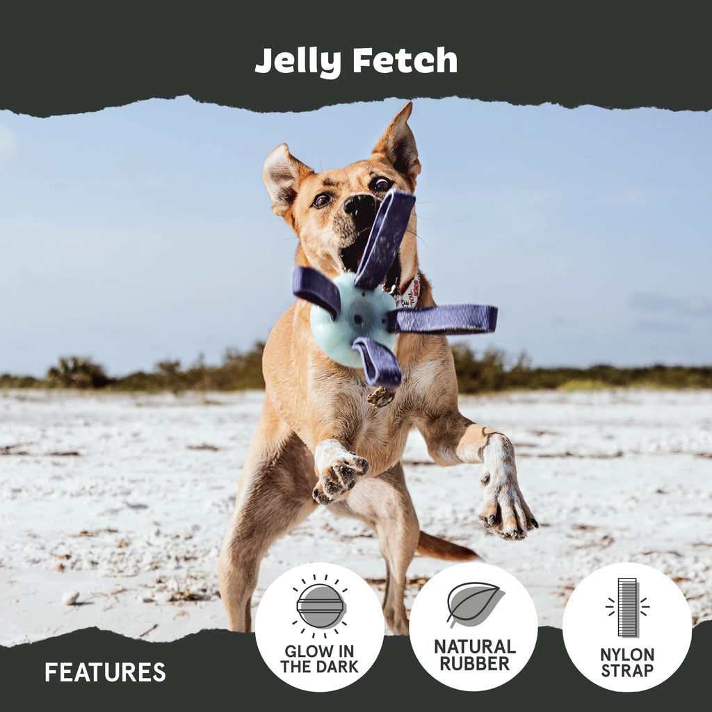 Dog Toy F144