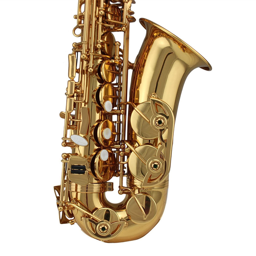 Alto Saxophone Set T8228