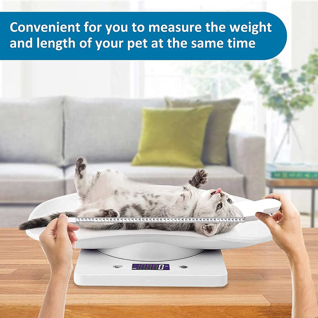 Digital Pet Scale with Removable Tray & Tape Measure W59709
