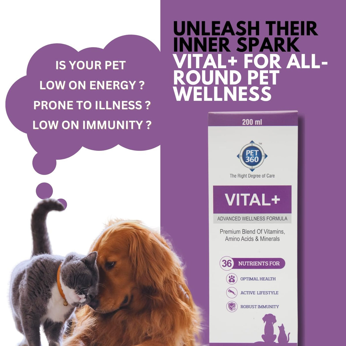 Multivitamin Syrup Nutritional Supplement for Dogs & Cats 200 ml I658