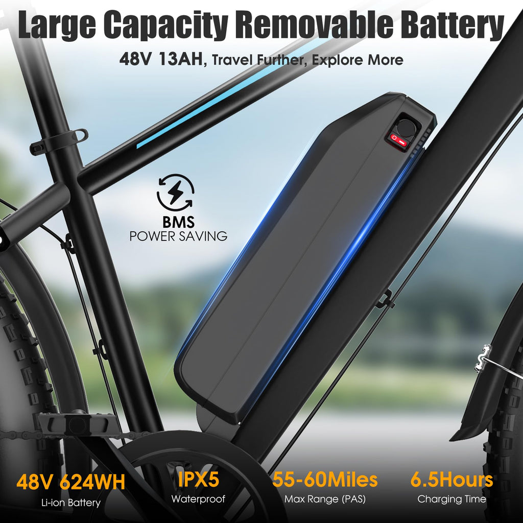 1000W 60Miles 26" x 4'' Fat Tire Electric Bike C891