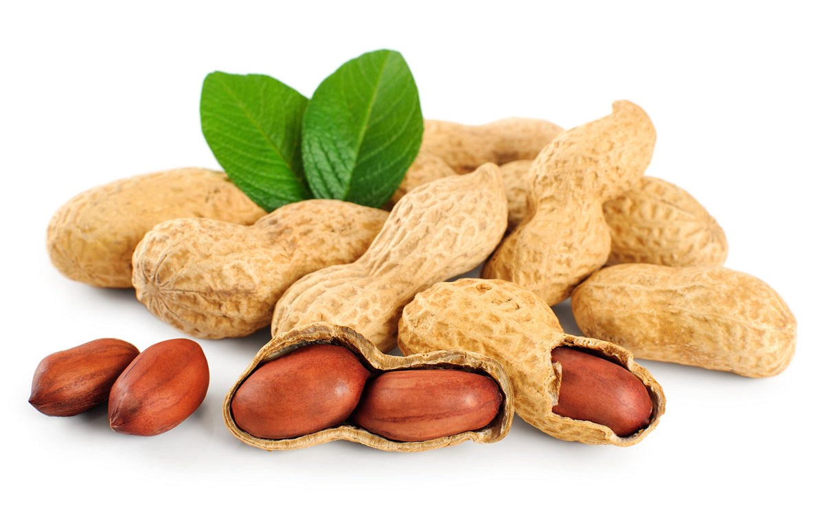 Raw Peanuts in Shell 25 Pound Bag A9189
