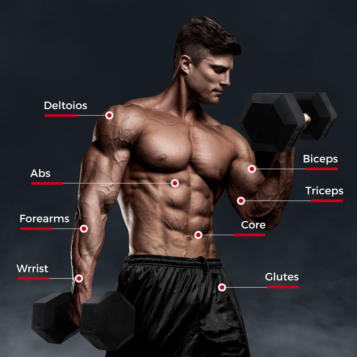 Rubber Coated Hex Dumbbell Set A72326