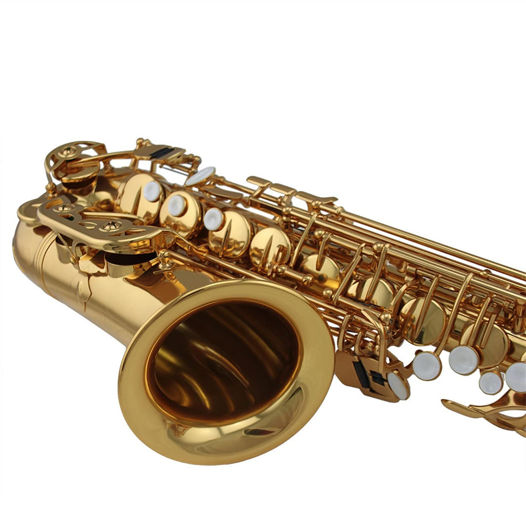 Alto Saxophone Set T8228