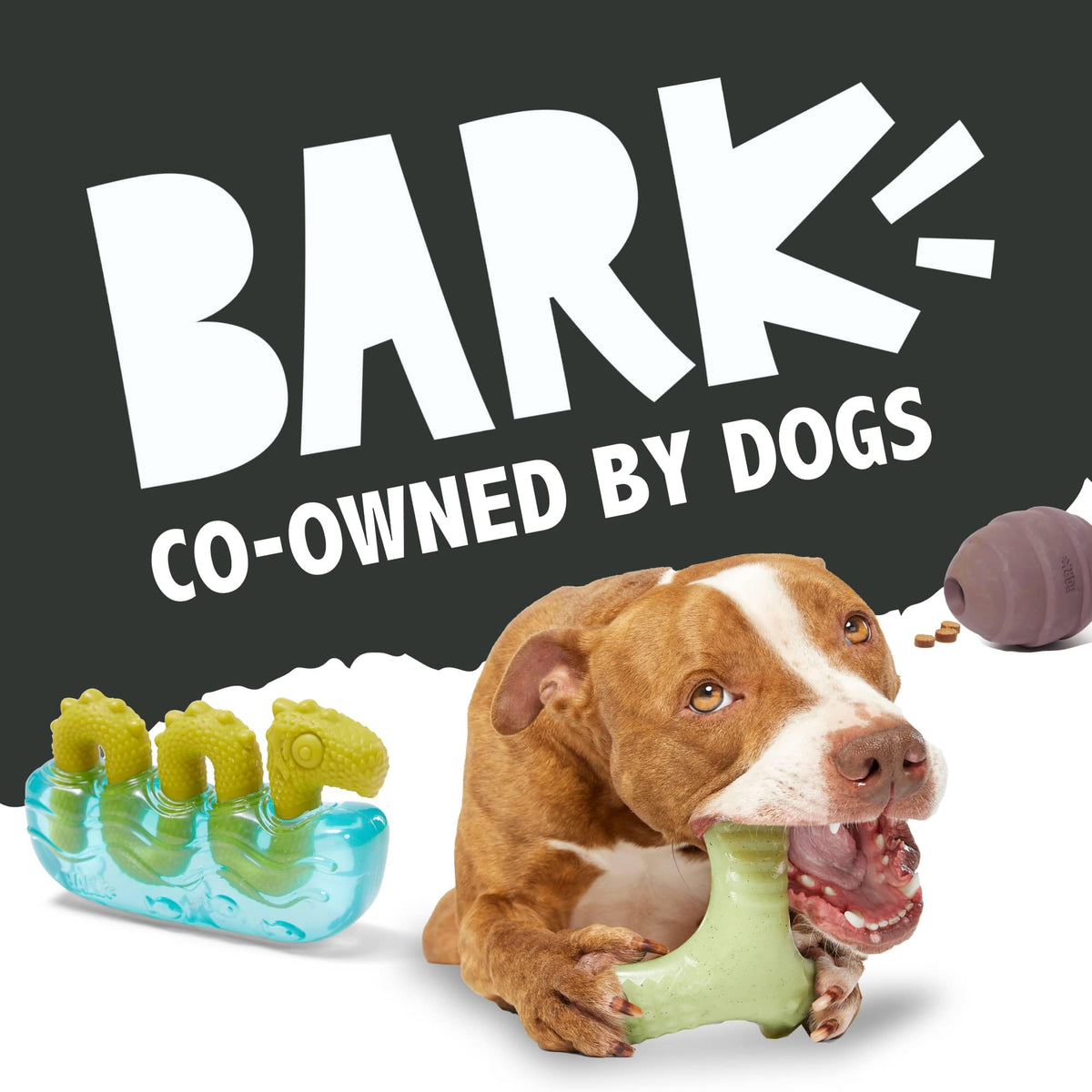 Dog Toy F144