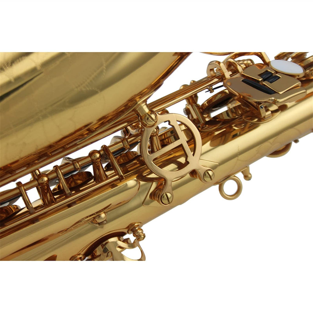 Alto Saxophone Set T8228