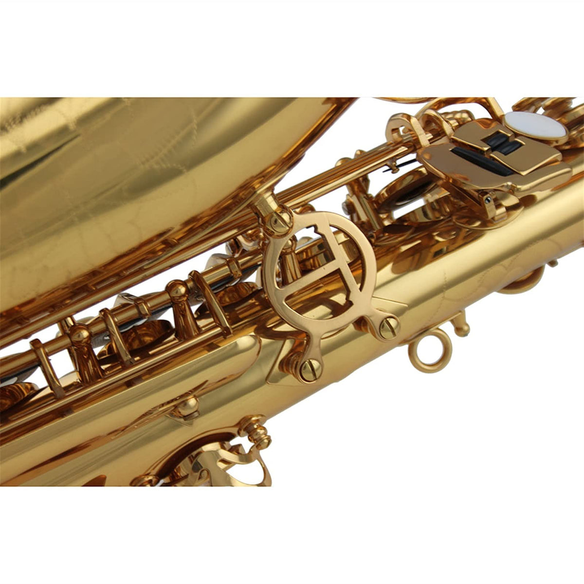 Alto Saxophone Set T8228