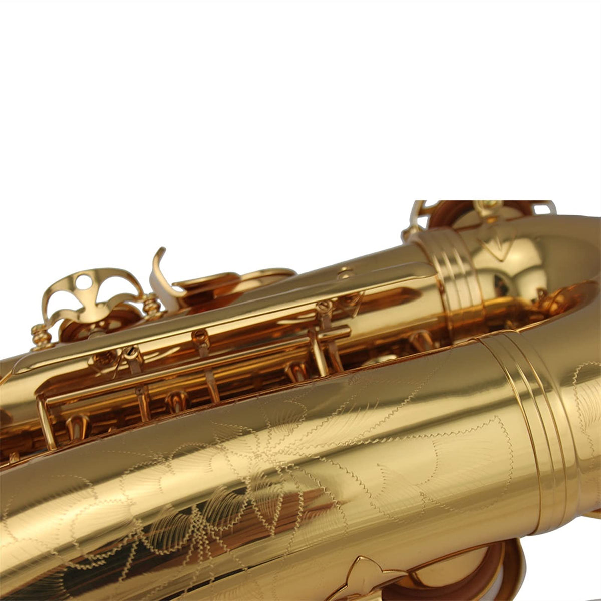 Alto Saxophone Set T8228