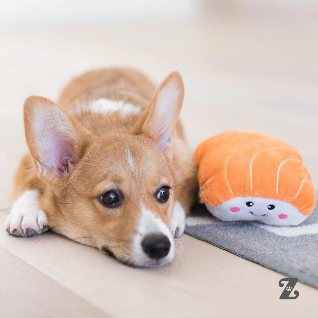 Dog Squeaky Toys R704071