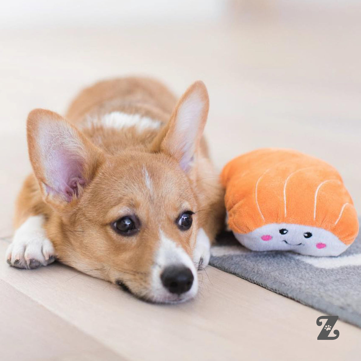 Dog Squeaky Toys R704071