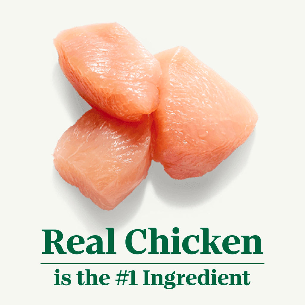 Indoor Adult Dry Cat Food Chicken & Rice 3 lb Z74804
