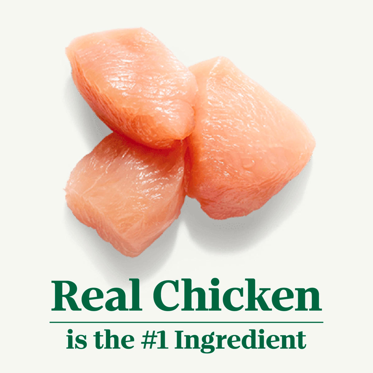 Indoor Adult Dry Cat Food Chicken & Rice 3 lb Z74804