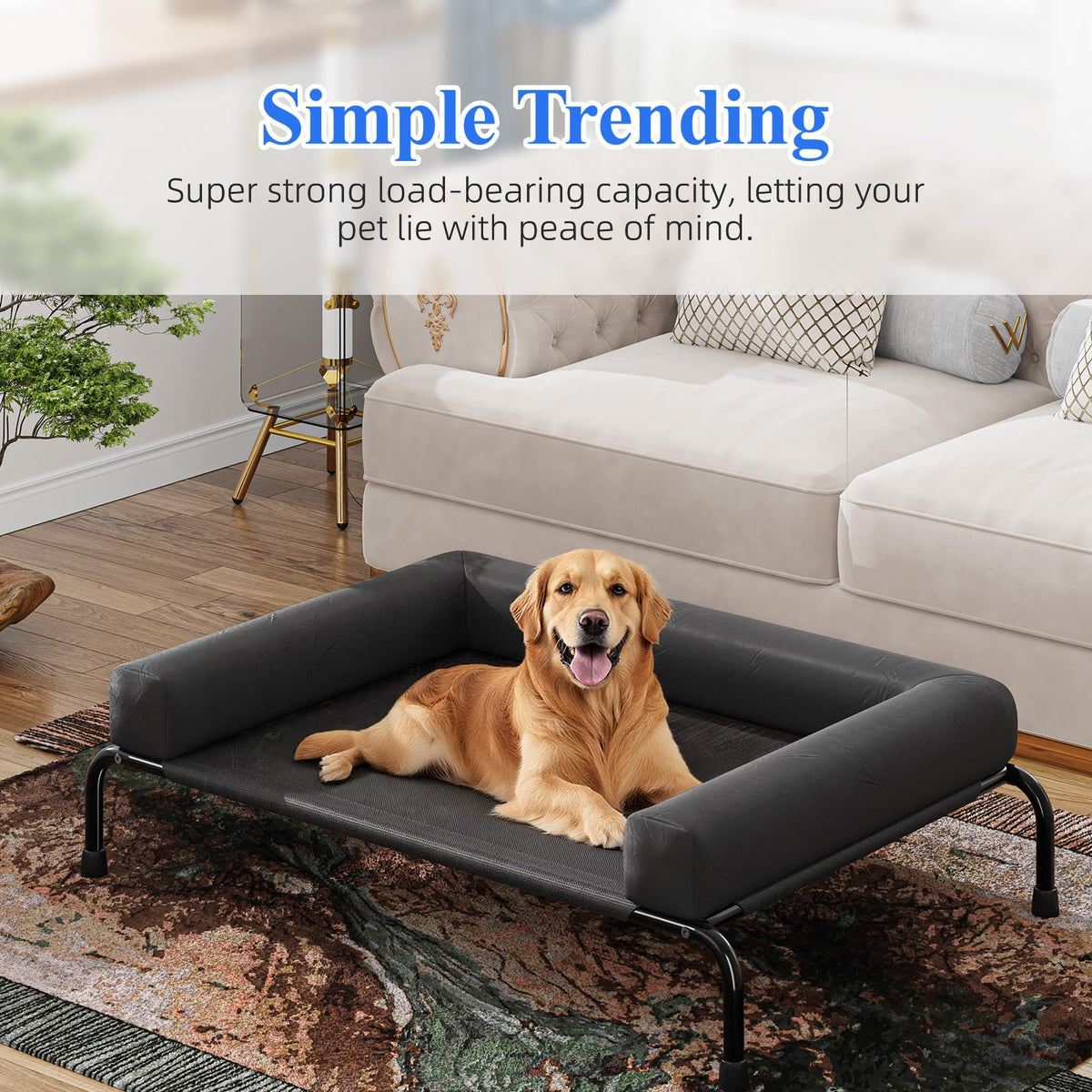 Elevated Dog Bed with Bolsters, Black G756