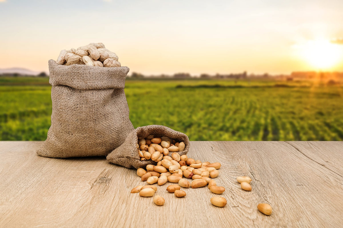 Raw Peanuts in Shell 25 Pound Bag A9189
