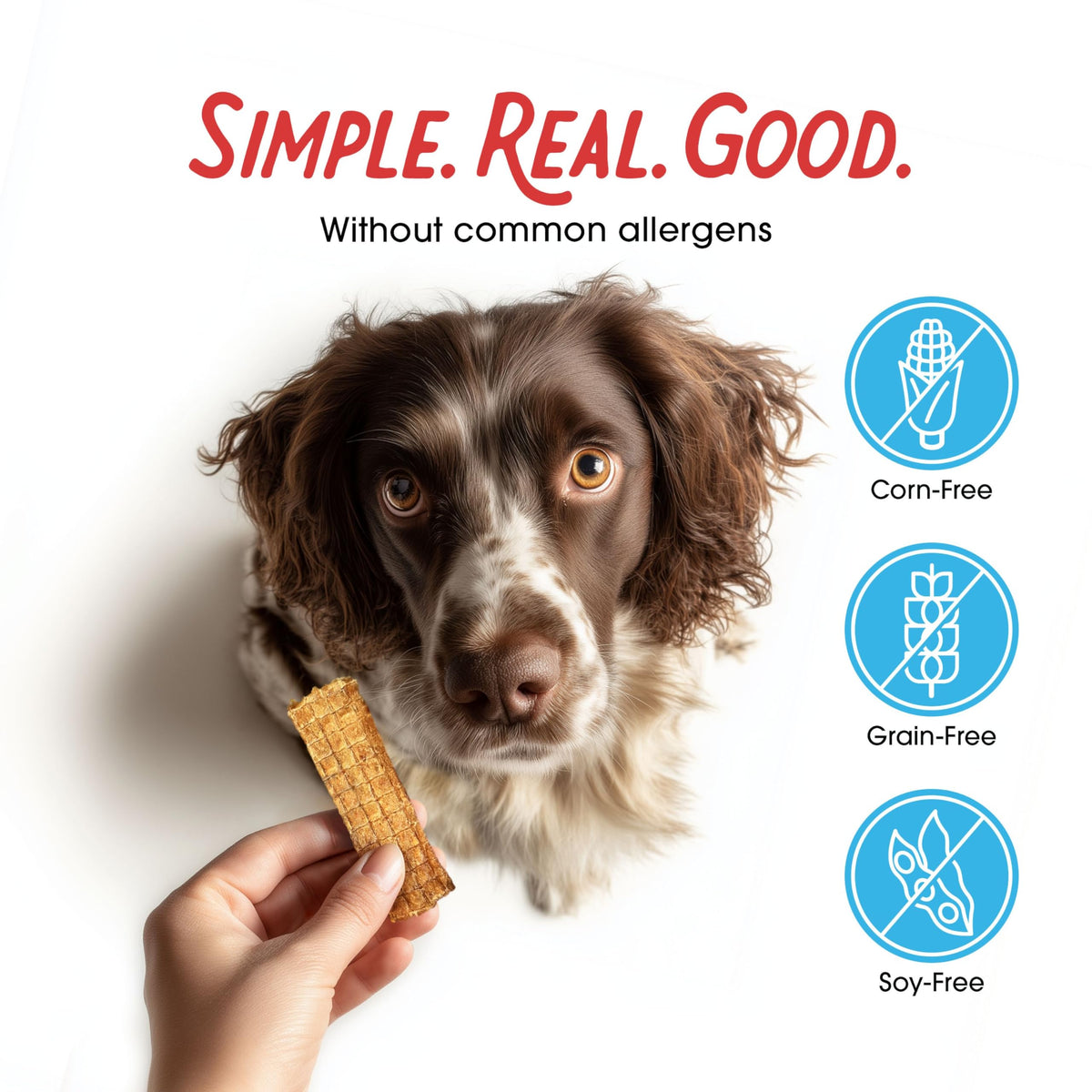 Chicken Jerky Dog Treats 3 lb Bag A9989