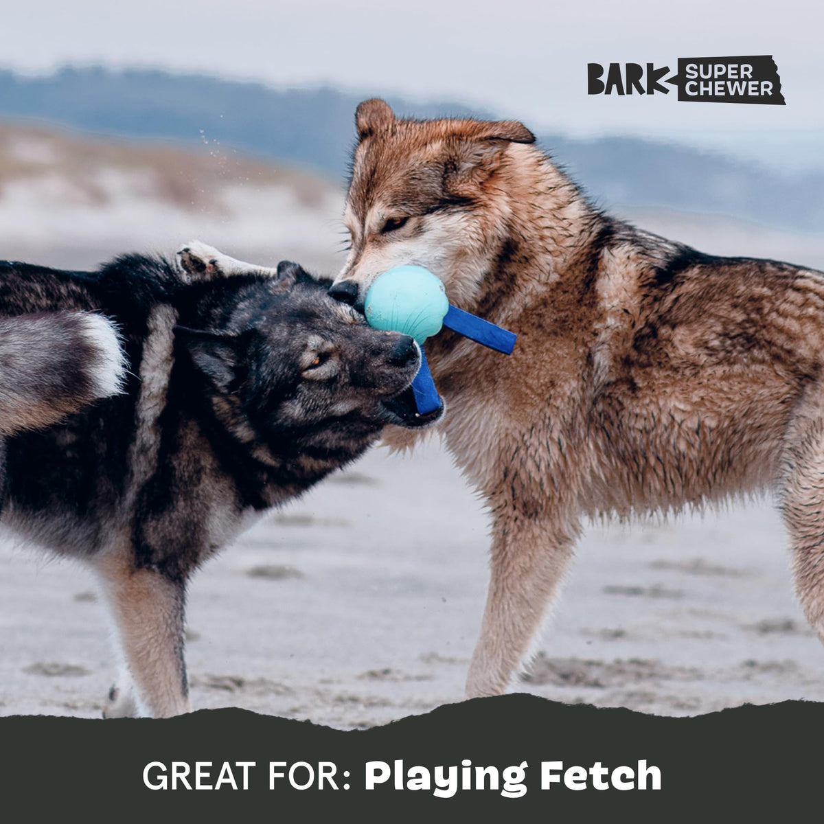 Dog Toy F144