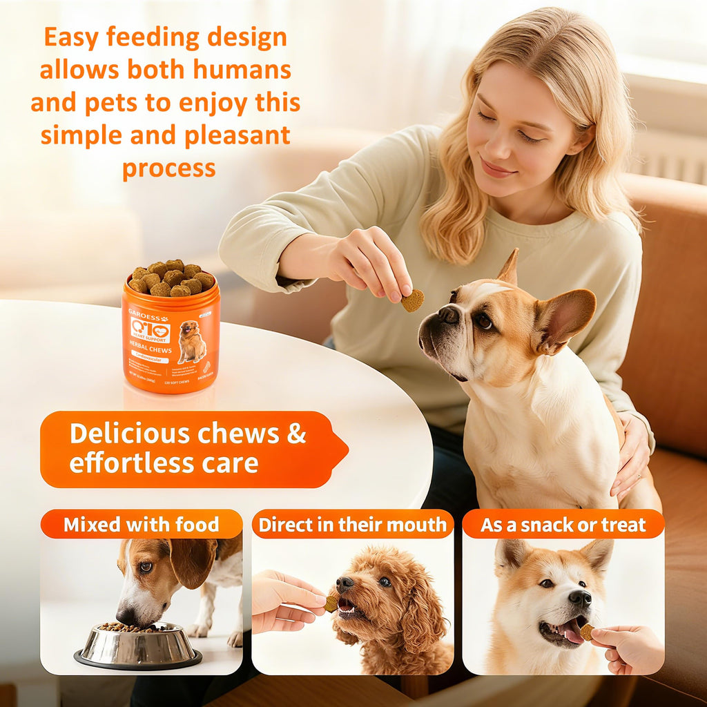 Bacon Flavor 120 Count CoQ10 Chews for Dogs U674711