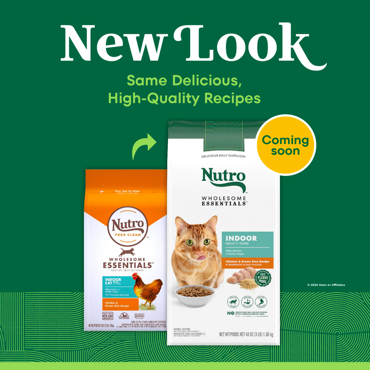 Indoor Adult Dry Cat Food Chicken & Rice 3 lb Z74804