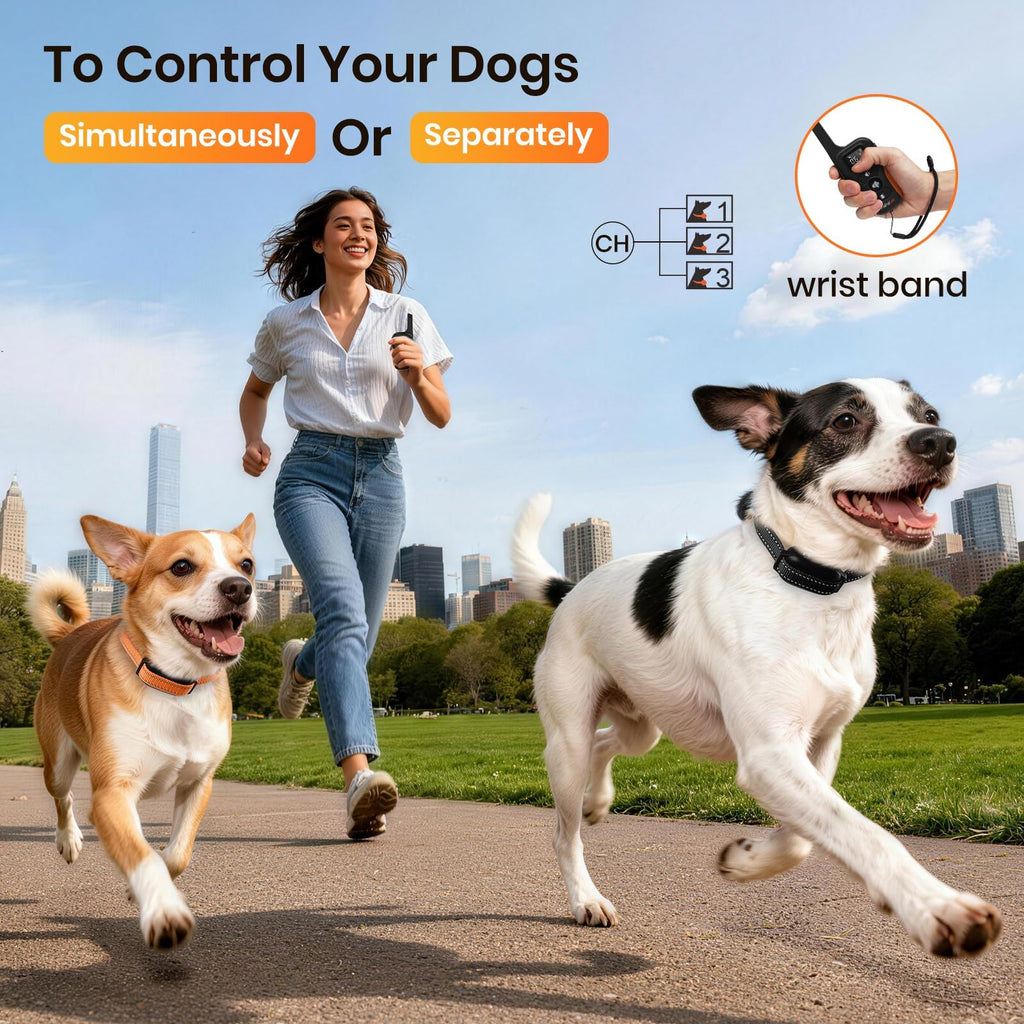 Vibration & Beep Dog Training Collar with Remote T122