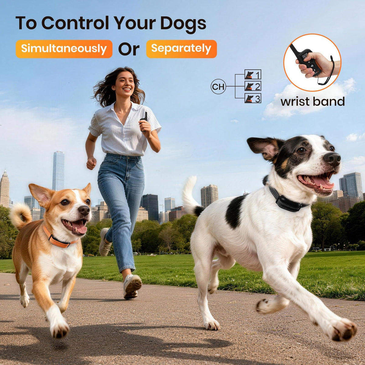 Vibration & Beep Dog Training Collar with Remote T122