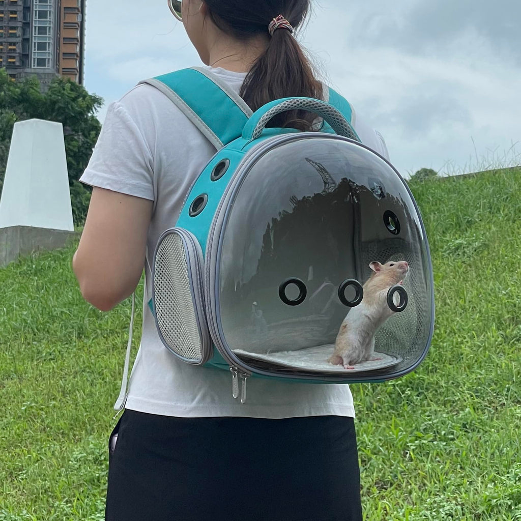 Portable Pet Backpack Carrier (Green) V32847