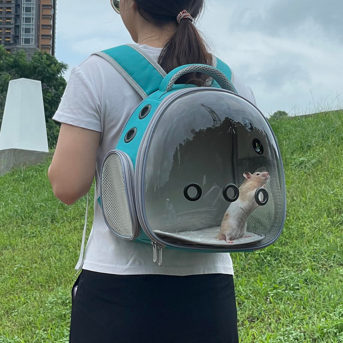 Portable Pet Backpack Carrier (Green) V32847