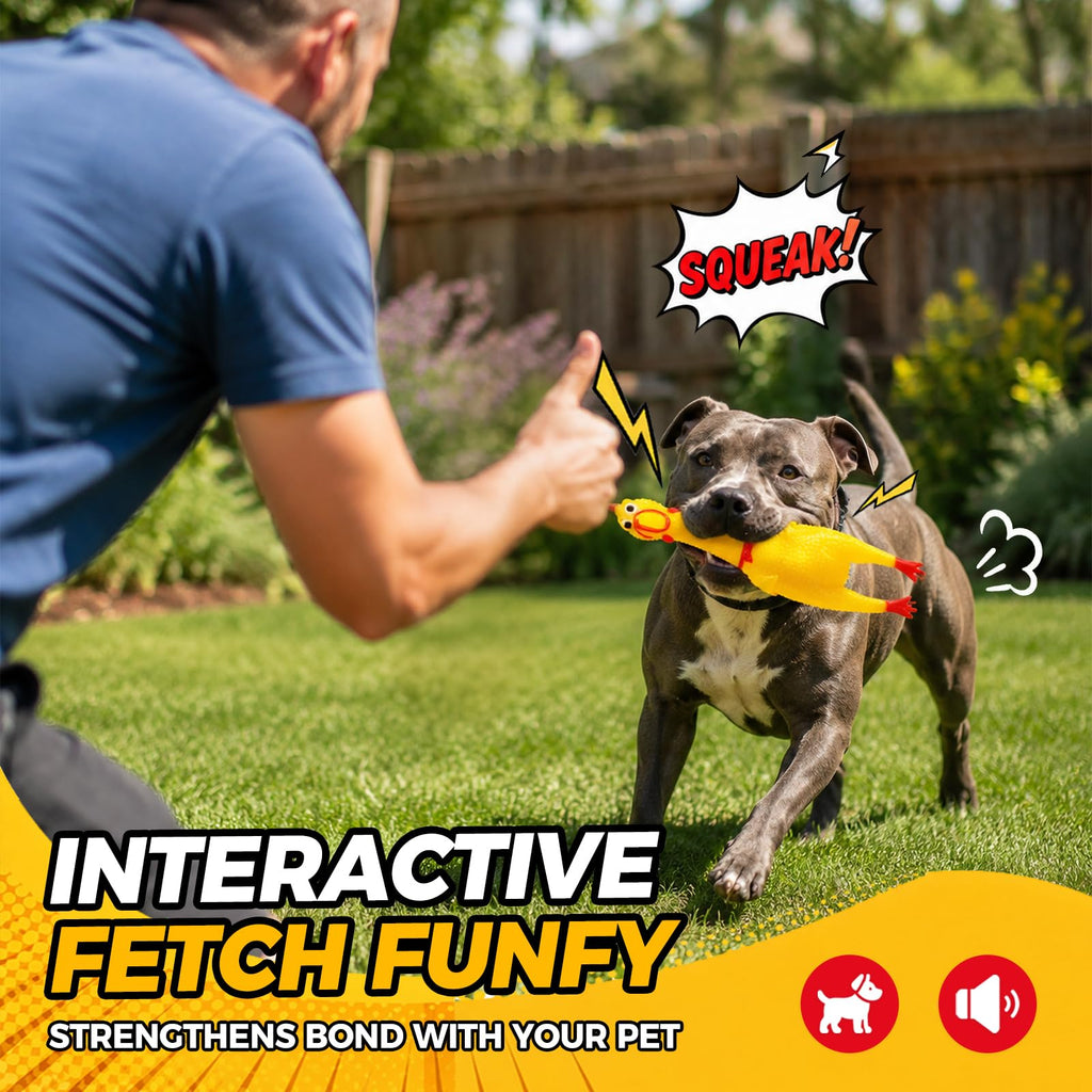 Squeaky Chicken Dog Toys M826