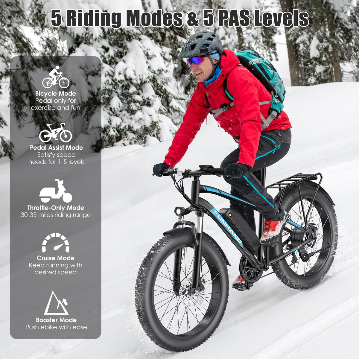 1000W 60Miles 26" x 4'' Fat Tire Electric Bike C891